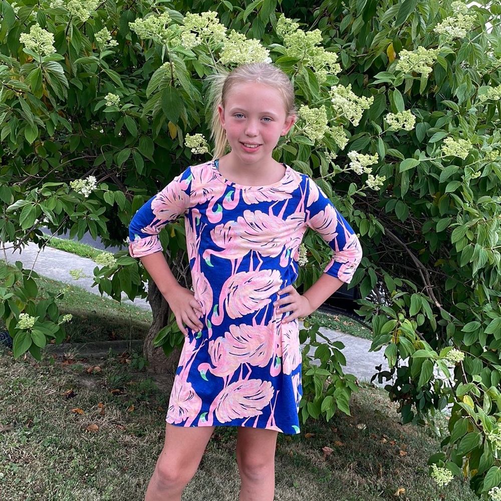 Lilly Pulitzer 3/4 sleeve flamingo shift dress. Worn only twice!